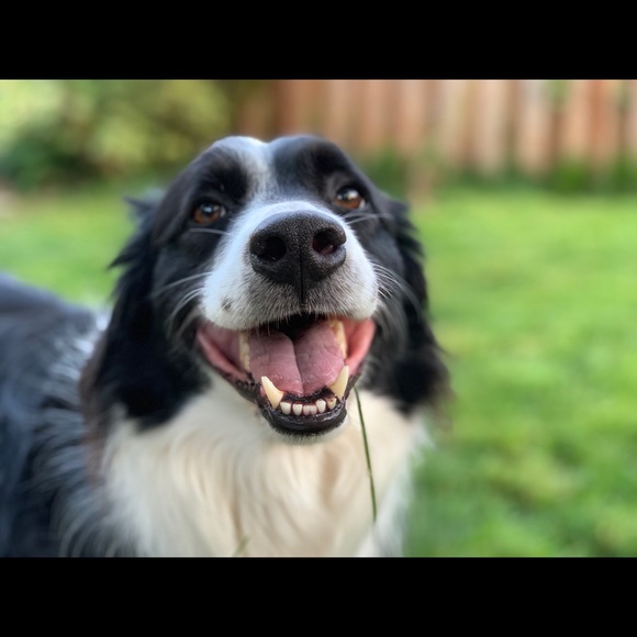 Meet your Posher, Natalie - Picture 6 of 16